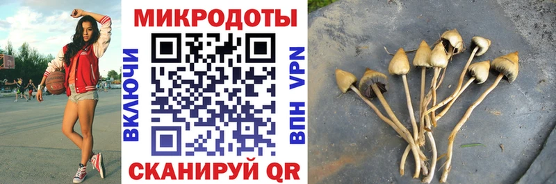 Галлюциногенные грибы MAGIC MUSHROOMS  кракен ТОР  Приморско-Ахтарск 